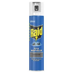 Raid Fly And Wasp Killer 300Ml
