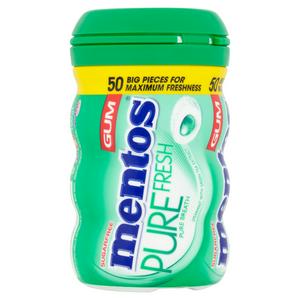 Mentos Chewing Gum Pure Fresh Spearmint 100g