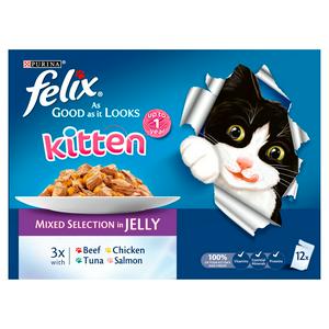 felix as good as it looks kitten sainsbury's